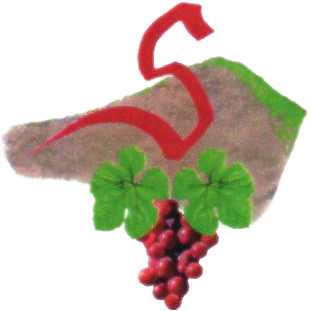 Domaine Philippe SCHAEFFER à Epfig