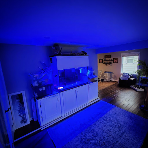Tropical Fish Store «Glasscages.com LLC», reviews and photos, 1500 E Piney Rd, Dickson, TN 37055, USA