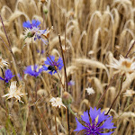 Photo n°2 de l'avis de Ulrich.c fait le 07/04/2019 à 08:05 sur le  Jagdschloß Fahrenbühl à Kirchenlamitz