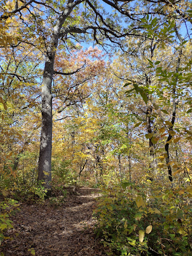 Nature Preserve «Maplewood Nature Center», reviews and photos, 2659 E 7th St, St Paul, MN 55119, USA