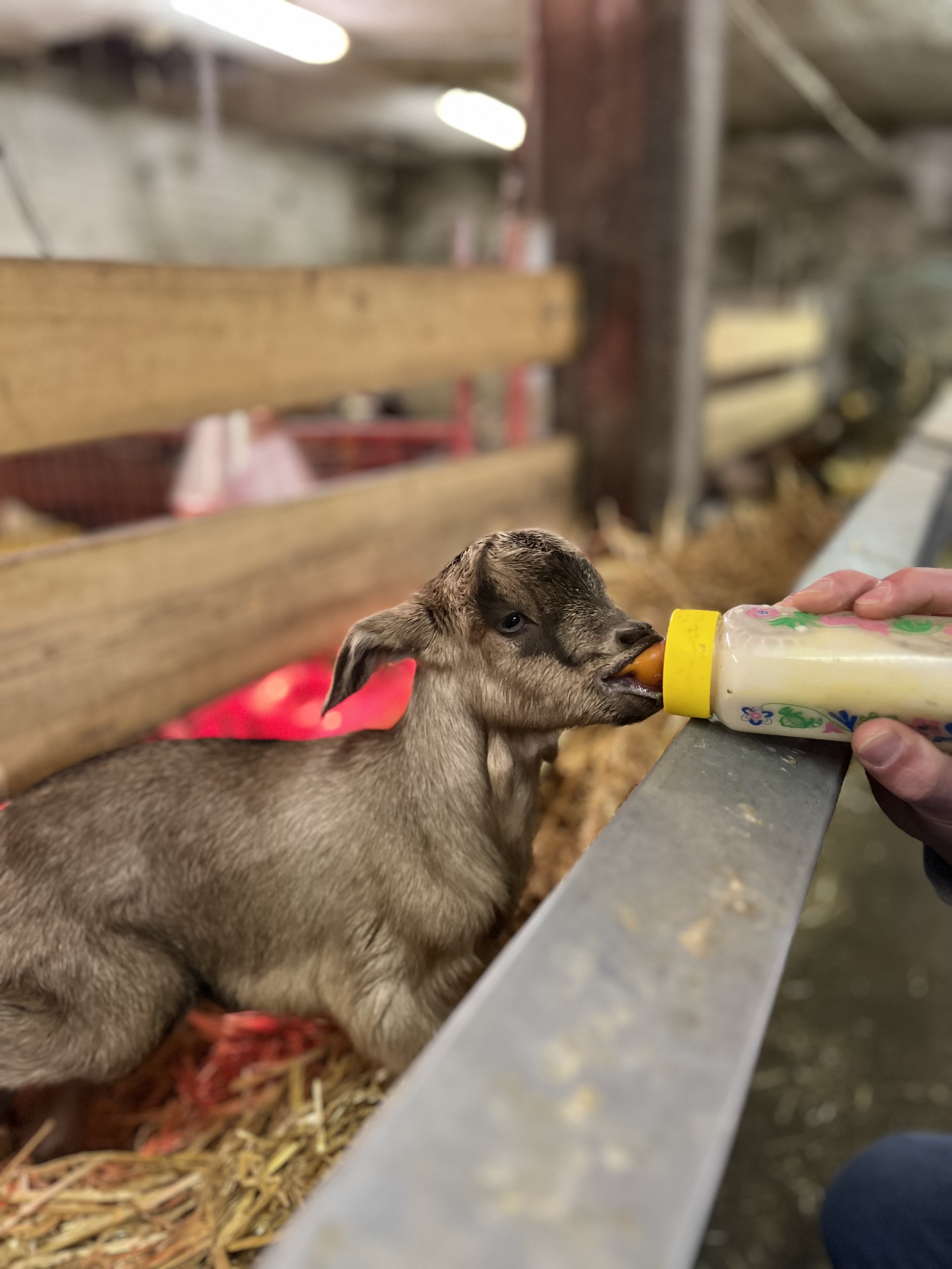 Photo n° 1 de l'avis de Clémentine.E fait le 07/03/2023 à 13:42
