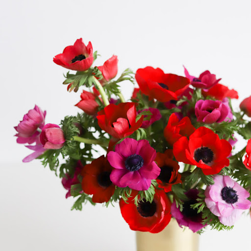 Florist «Farmgirl Flowers», reviews and photos, 901 16th St, San Francisco, CA 94107, USA