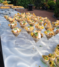 Anmol-Catering & Events - Photo 3 - Car repair in Naperville, IL, Aurora