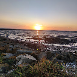 Photo n°87 de Bar à huîtres Gratt'huîtres à Bouin ()