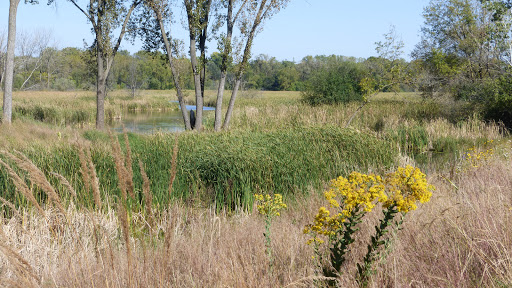 Park «Bass Lake Park», reviews and photos, 3450 Glenhurst Ave, Minneapolis, MN 55416, USA