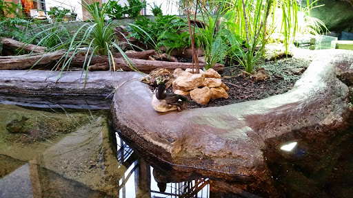 Tourist Attraction «S.W.A.T River Tours», reviews and photos, 450 E 3rd St, Dubuque, IA 52001, USA