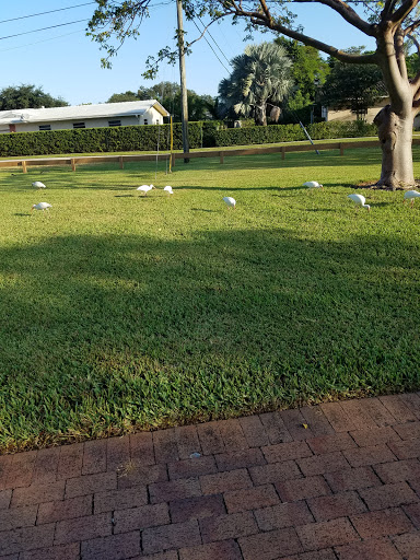 Park «Liberty Tree Park», reviews and photos, 7421 NW 5th St, Plantation, FL 33317, USA