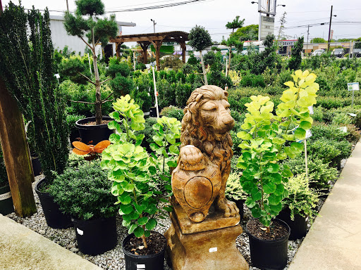 Plant Nursery «Martins Home & Garden», reviews and photos, 1020 NW Broad St, Murfreesboro, TN 37129, USA