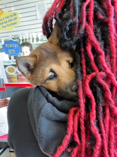 Pet Store «Yuppy Puppy Pet Shop», reviews and photos, 292 Frantz Rd, Stroudsburg, PA 18360, USA