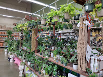 Ace Hardware of Chico - Photo 2 - Car repair in Chico, CA, Chico