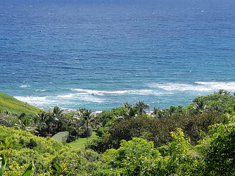 Na 'Aina Kai Botanical Gardens & Sculpture Park