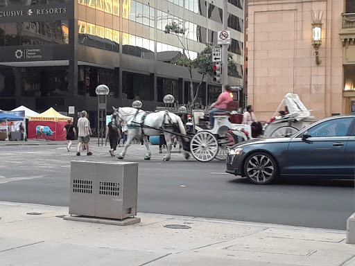 Park «Skyline Park», reviews and photos, 16th St, Denver, CO 80202, USA