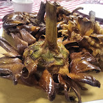 Photo n°1 de l'avis de Massimo.o fait le 22/04/2024 à 13:15 sur le  Il gufo e la coccinella à Fiano Romano