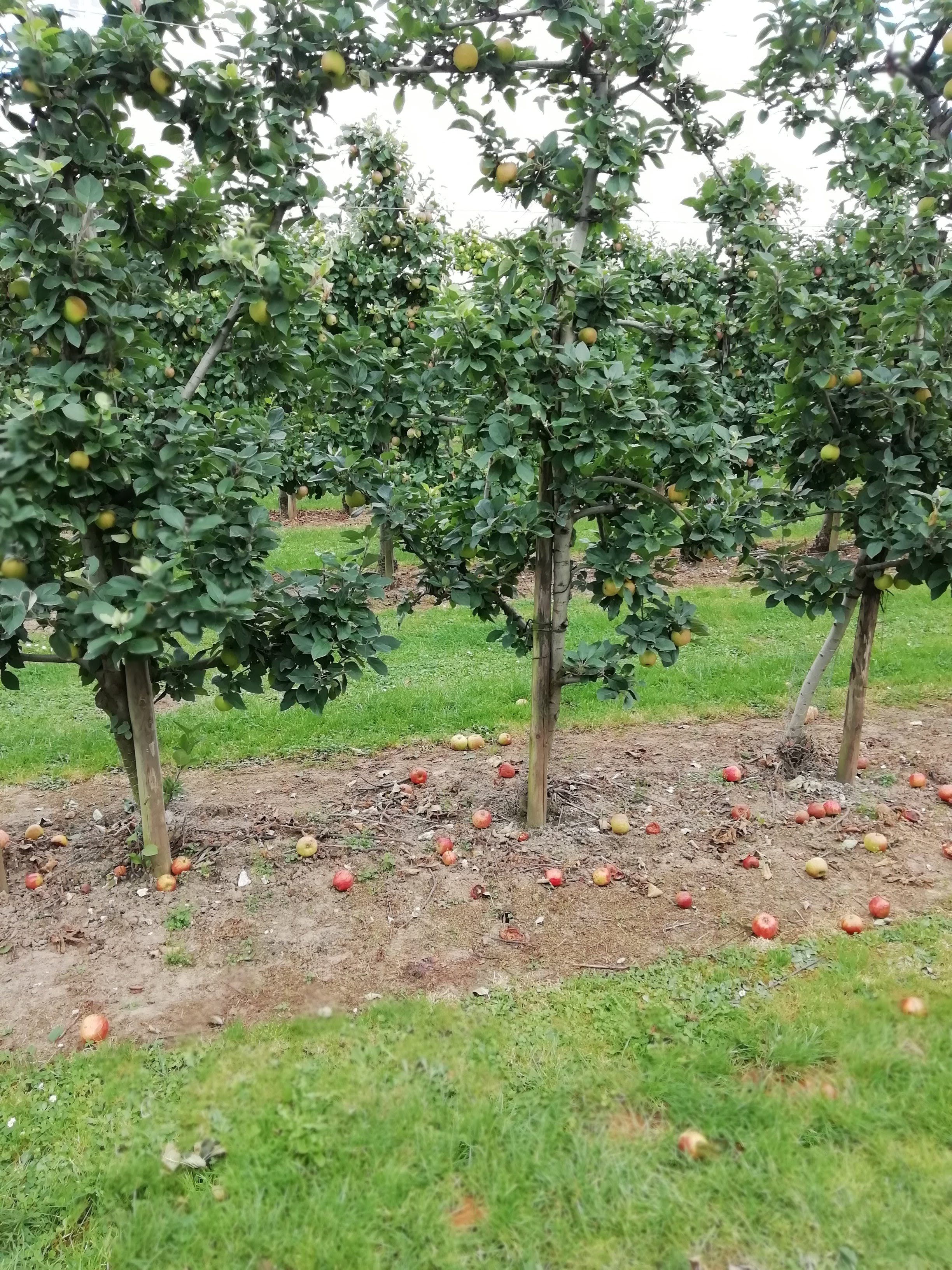 Photo n° 2 de l'avis de Aurelie.u fait le 01/10/2021 à 21:14
