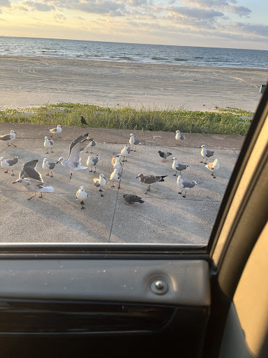 Towing Service «Martys City Auto», reviews and photos