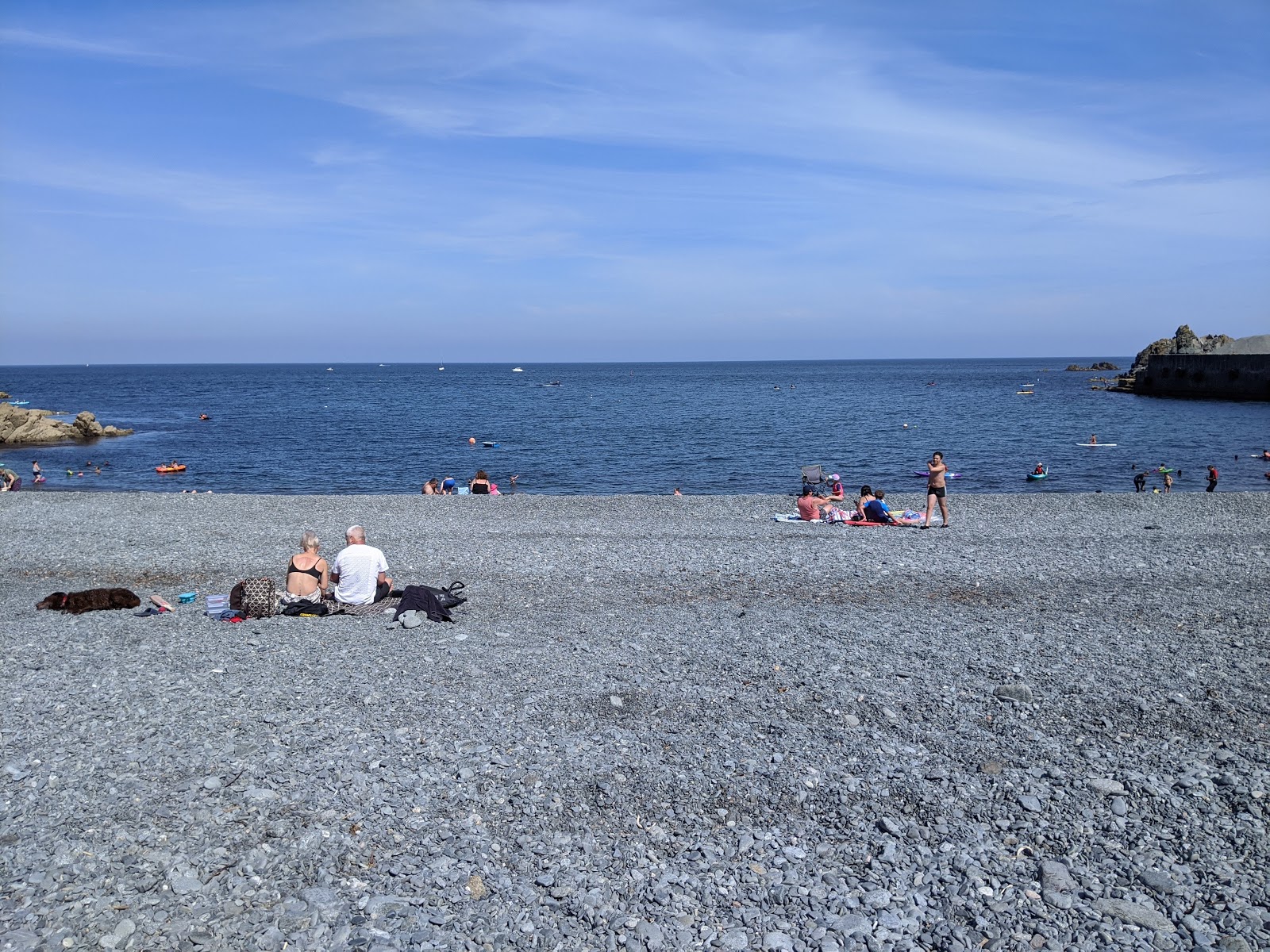 Foto von Porthoustock beach wilde gegend