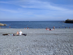 Foto von Porthoustock beach wilde gegend