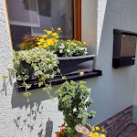 Photo n°6 de l'avis de Claudia.o fait le 30/05/2023 à 05:21 sur le  Zum Grünen Tal à Dürrwangen