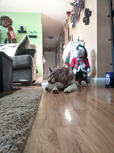 Department Store «Marshalls», reviews and photos, 1141 Main St, Watertown, CT 06795, USA