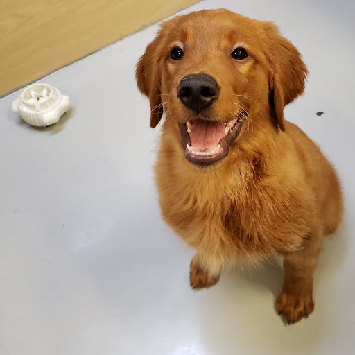 Pet Store «Pet Express», reviews and photos, 100 Independence Way, Danvers, MA 01923, USA