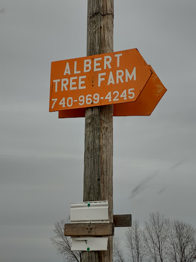 Albert Family Tree Farm image 9