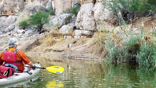 National Park «Big Bend National Park», reviews and photos