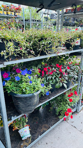 Home Improvement Store «The Home Depot», reviews and photos, 3051 E Main St, Mohegan Lake, NY 10547, USA