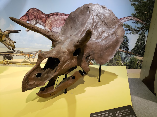 Museu de História Natural e da Ciência da Universidade do Porto - Porto