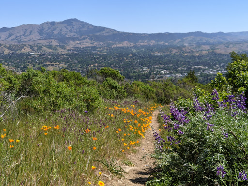 Park «Las Trampas Regional Wilderness», reviews and photos, 18012 Bollinger Canyon Rd, San Ramon, CA 94583, USA