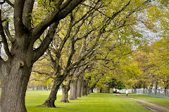 Hagley Park North