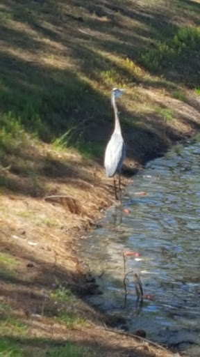 Golf Club «Oyster Reef Golf Club», reviews and photos, 155 High Bluff Rd, Hilton Head Island, SC 29926, USA