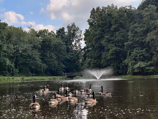 Park «Muriel Hepner Nature Park», reviews and photos, Diamond Spring Rd, Denville, NJ 07834, USA