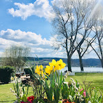 Photo n°5 de l'avis de Evelin.e fait le 11/04/2022 à 17:43 sur le  Hotel HOERI am Bodensee à Gaienhofen