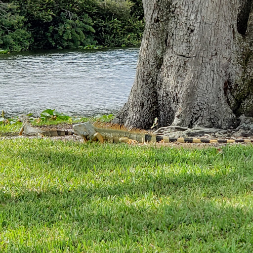Nature Preserve «Snake Warrior Island Natural Area», reviews and photos, 3600 SW 62nd Ave, Miramar, FL 33023, USA