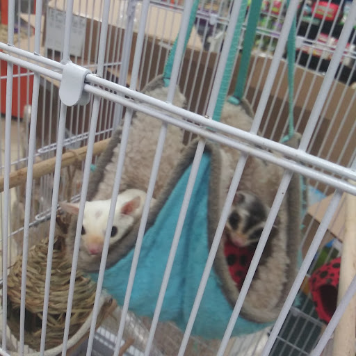 Pet Store «Something Fishy Pets», reviews and photos, 29 Towne Centre Ln, Fox Lake, IL 60020, USA