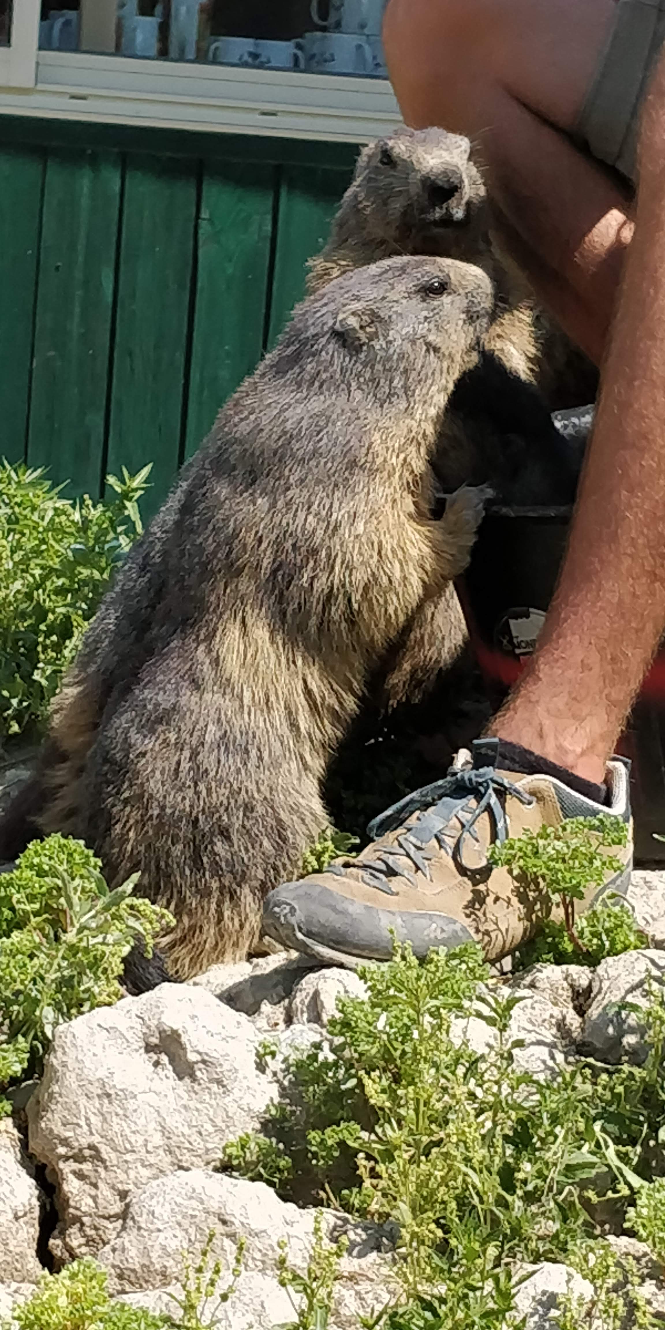 Photo n° 23 de l'avis de Sylvain.e fait le 02/08/2018 à 06:25
