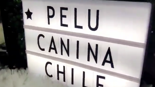 Peluquería Canina Chile