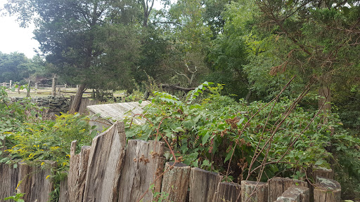 Museum «Coggeshall Farm Museum», reviews and photos, 1 Colt Dr, Bristol, RI 02809, USA