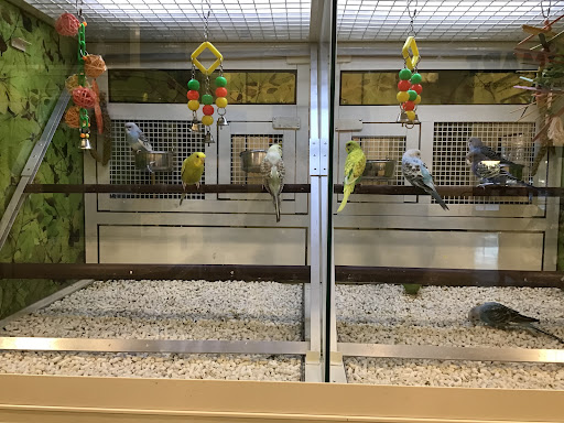 Pet Supply Store «PetSmart», reviews and photos, 3641 Truxel Rd, Sacramento, CA 95834, USA