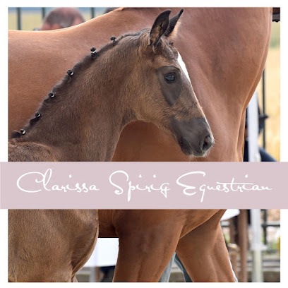 Clarissa Spirig Equestrian