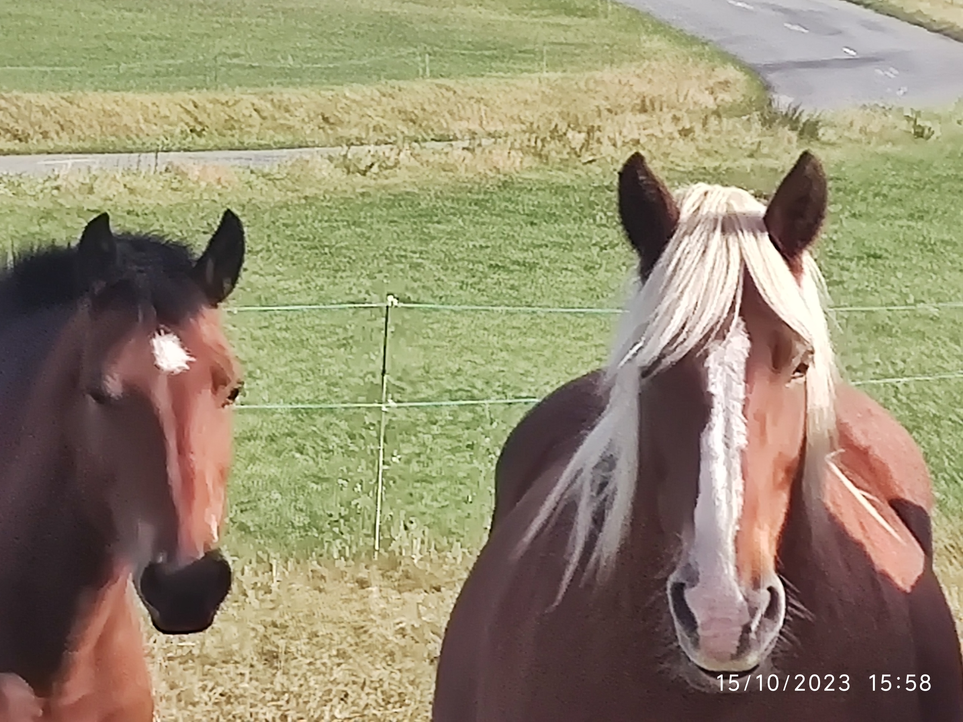 Photo n° 41 de l'avis de Patrick.i fait le 12/12/2023 à 10:07