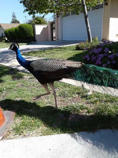 28103 Hawthorne Blvd, Rancho Palos Verdes, CA 90275, USA