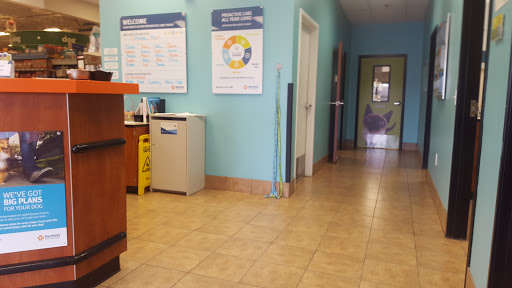 Pet Supply Store «PetSmart», reviews and photos, 45050 Northpointe Blvd, Utica, MI 48315, USA