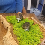 Photo n°6 de l'avis de Marco.e fait le 20/05/2021 à 20:38 sur le  Etienne Roma Ristorante à Rome