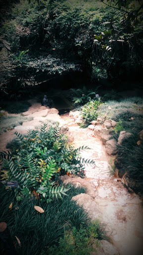 Art Museum «Bayou Bend Collection and Gardens», reviews and photos, 6003 Memorial Dr, Houston, TX 77265, USA