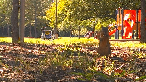 Park «Bob Eden Park», reviews and photos, 901 W Mid Cities Blvd, Euless, TX 76039, USA