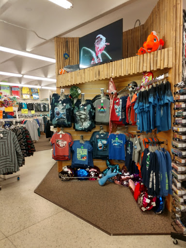 Gift Shop «Big Shark», reviews and photos, 2715 N Atlantic Ave, Daytona Beach, FL 32118, USA