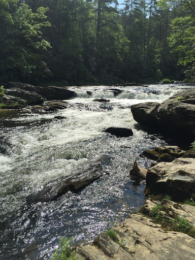 Outdoor Sports Store «The Local Hiker», reviews and photos, 173 E Main St, Spartanburg, SC 29306, USA