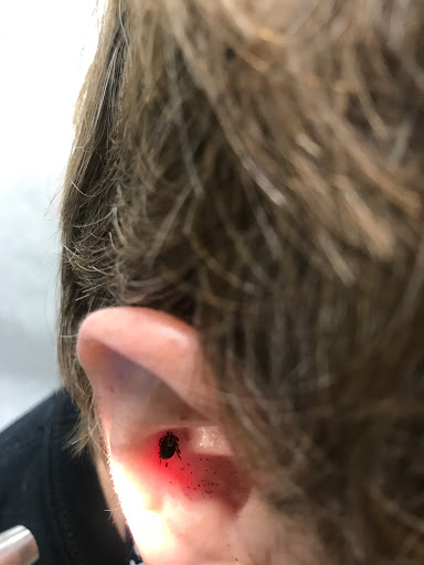 Hair Salon «Supercuts», reviews and photos, 622 Gravel Pike, East Greenville, PA 18041, USA