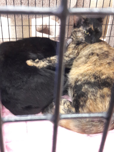 Pet Supply Store «Pet Supermarket, Inc.», reviews and photos, 1304 Precinct Line Rd, Hurst, TX 76053, USA